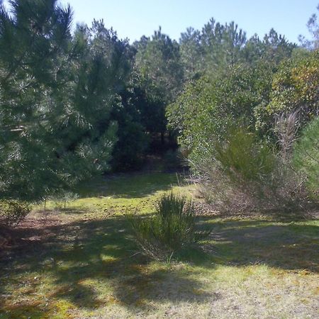 Villa "Le Mirage" Lège-Cap-Ferret المظهر الخارجي الصورة