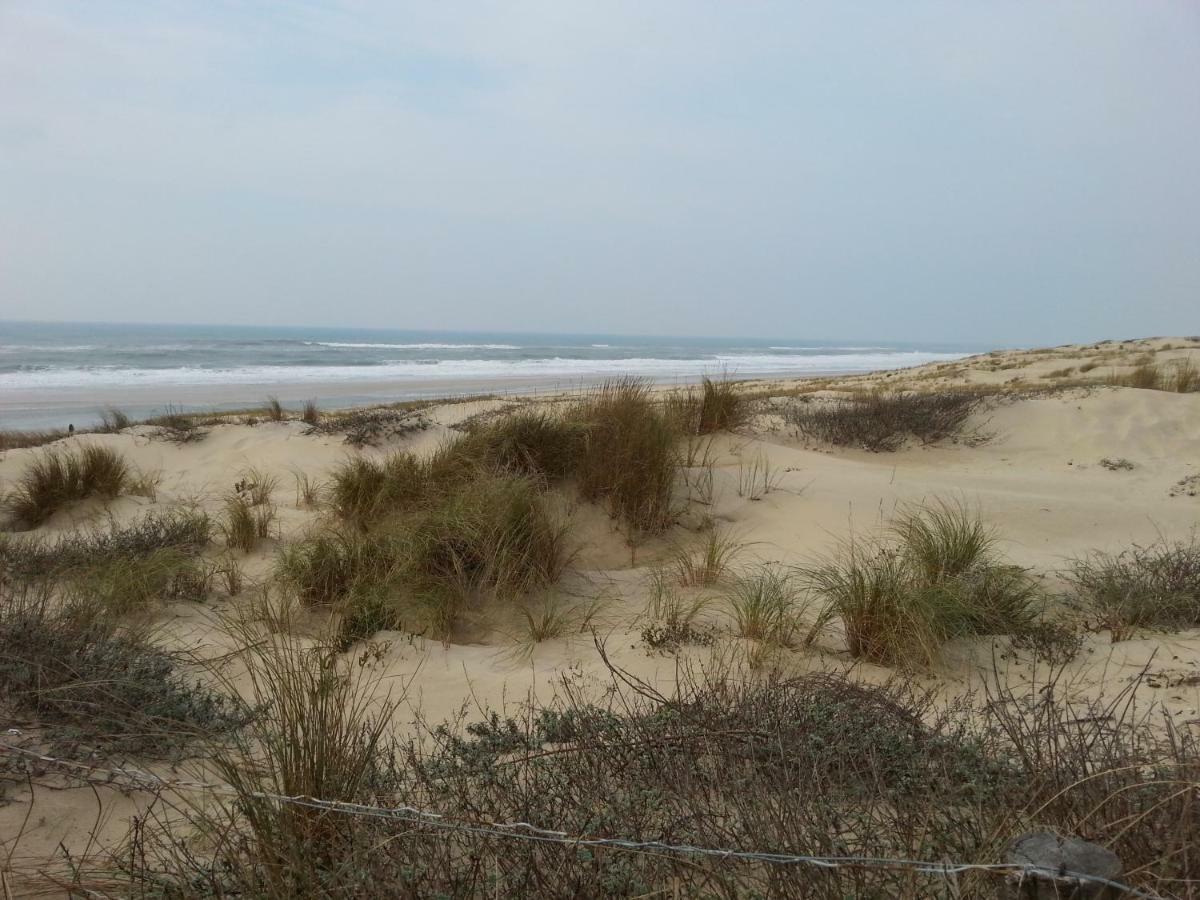 Villa "Le Mirage" Lège-Cap-Ferret المظهر الخارجي الصورة