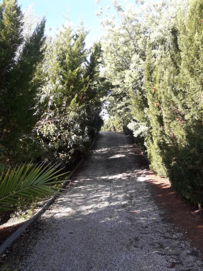 Villa "Le Mirage" Lège-Cap-Ferret المظهر الخارجي الصورة